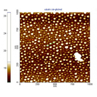 AFM 探针分辨率测试标样