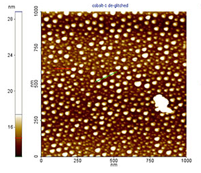 AFM 探针分辨率测试标样