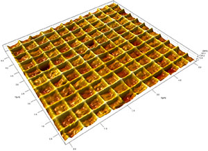 STM校准标样2160线载网