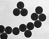 TEM/STEM分辨率测试和像散校正标样