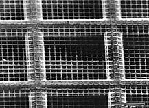 Quantifoil方孔碳支持膜