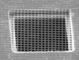 Quantifoil圆孔碳支持膜